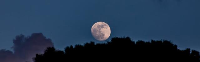 Russia's first lunar mission in nearly 50 years crashed into the moon