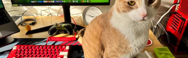 What’s on your desk, Nick Statt?