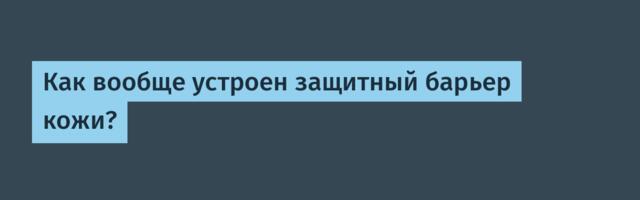 Как вообще устроен защитный барьер кожи?