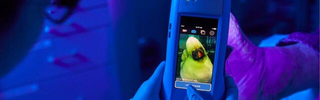 Medical imaging startup MolecuLight secures funding from BDC Capital, iGan Ventures for global expansion