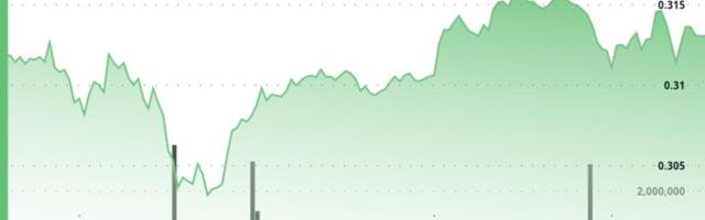 Stellar Edges Lower 0.4% to $0.3123 as Partnership News Surfaces