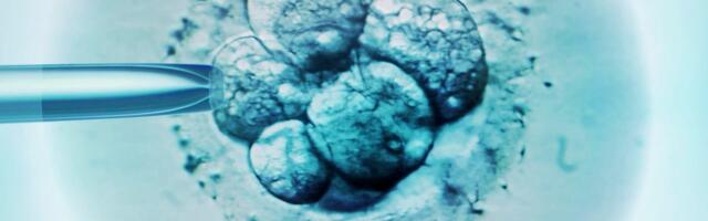 I've Used ChatGPT Throughout My 2-Year IVF Journey. Here's How It Helped Me