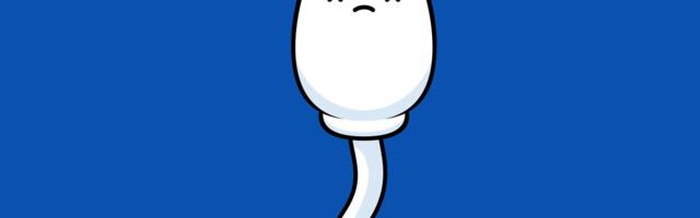Why young men are killing their sperm