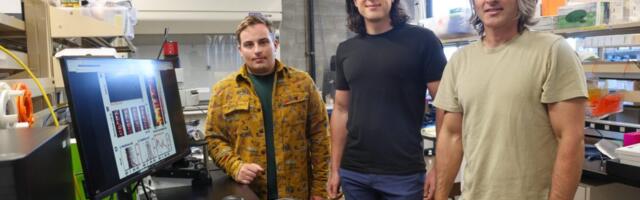 UC Santa Cruz study shows developing brains have inherent structure