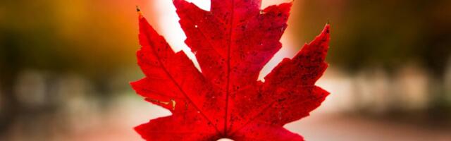 Nine Canadian companies make the 2026 Global Cleantech 100