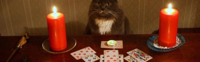 Предсказываю неочевидные факты о вас и вашем отделе по коммитам