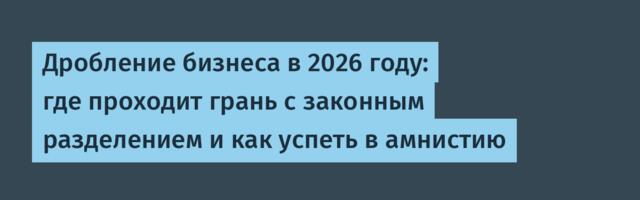 Дробление бизнеса в 2026 году: где проходит грань с законным разделением и как успеть в амнистию