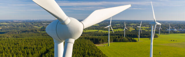 EIF injects £35m into London climate fund Blume Equity