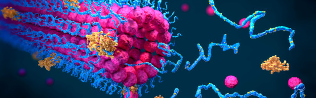 Alphabet’s DeepMind achieves historic new milestone in AI-based protein structure prediction