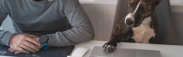 Baidu developing AI-driven animal to human translator – Dr Doolittle plans revealed in patent application