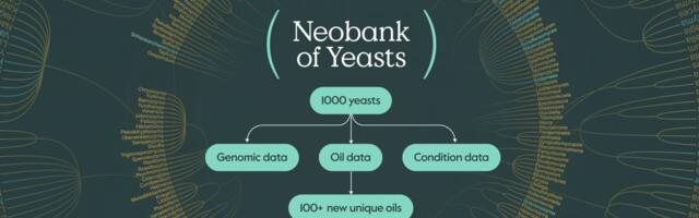 Creating biotech for the post-deforestation era: SMEY launches NOY, a 'Neobank of Yeasts' for cultivated oils