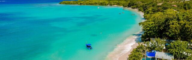 Grenada’s New Diaspora Loyalty Program Could Be Model for the Caribbean  