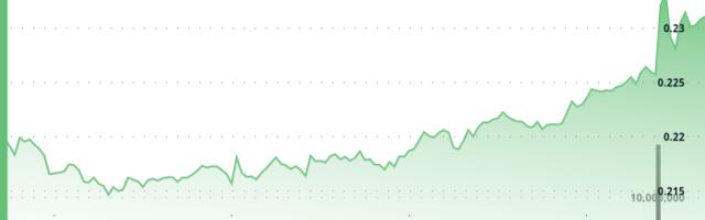 HBAR Advances 3% in Robust Recovery Rally Amid Market Volatility