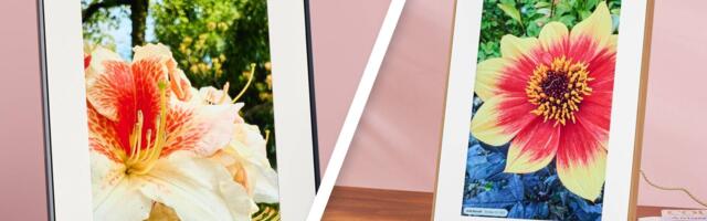 Wave bland wall spaces goodbye: I tested two of my fave digital photo frames head-to-head, and this option is perfect for giving gloomy winter rooms a glow-up