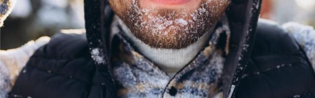 Scientists Are Trying to Freeze Strokes Before They Damage the Brain