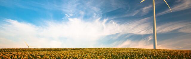 Three Seedrs-funded portfolio companies tackling the energy crisis