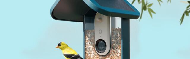 Bird Buddy’s solar-powered smart feeder is $100 off