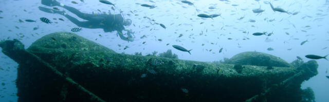 Bombs Sunk This Ship In WWII – Now It's A Creepy Underwater Zoo