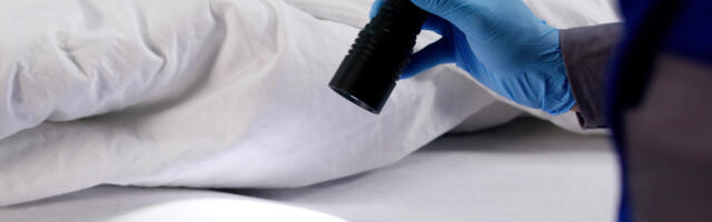 This $8 Harbor Freight Gadget Should Be The First Thing You Pack For Hotel Stays