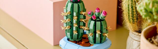 Cant keep a plant alive? Grab the Lego Botanicals Flowering Cactus while its 20% off.