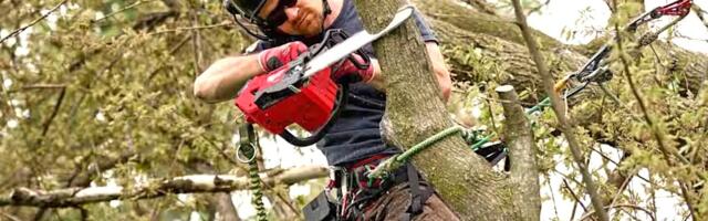 Milwaukee Is Recalling Its M18 Top Handle Chainsaws - Here's Why