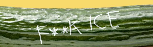 Even the big dick subreddit is mad about ICE