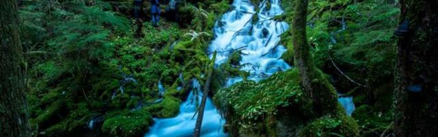 Massive Aquifer Beneath Oregon’s Cascades Could Be the Largest in the World
