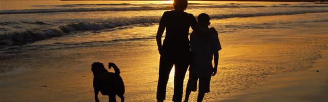 I sent my son to Australia alone when he was 13 so he'd be more independent. Now that he's an adult, I get advice from him.