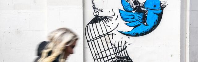 Why your Twitter page is changing and may have a dog on it