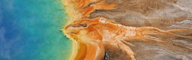 A brand new volcanic vent opened up in Yellowstone