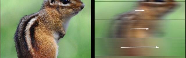 How Fast Is Too Fast to See? Study Reveals Your Visual Speed Limit