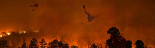 Alarming Conditions and Federal Chaos Could Spell a Disastrous California Fire Season