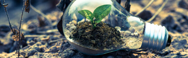 Over 80% of Business Leaders Say Companies Should ‘Lead from the Front’ on Environment