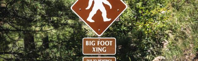 This AI bot will check for you if Bigfoot is real