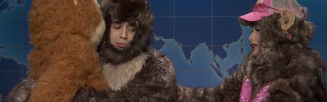 Punch the monkey makes an appearance on SNL Weekend Update