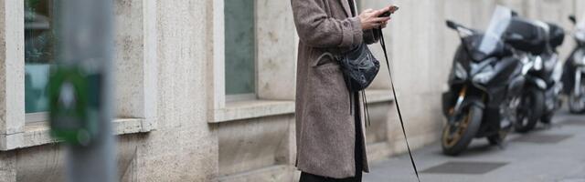 Dog Health Goes Digital With New AI Chatbot