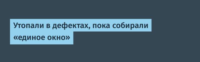 Утопали в дефектах, пока собирали «единое окно»