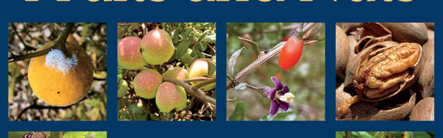 Cold-Hardy Fruits and Nuts 50 Easy-to-Grow Plants for the Organic Home Garden or Landscape, reviewed