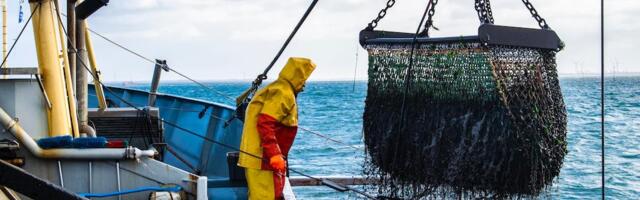 Ocean Supercluster tops up 16 projects with $23 million to drive commercialization