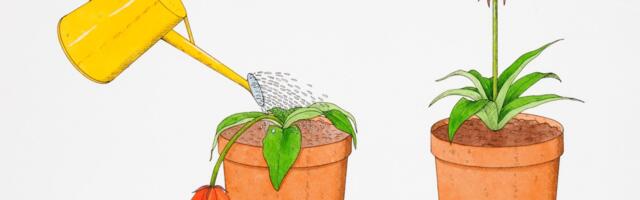 How to get over your fear of being a burden and actually ask for help