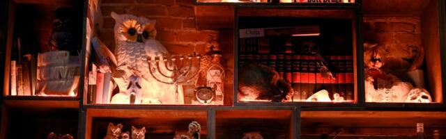 Ultimate guide to getting your house — and trick-or-treaters — ready for Halloween