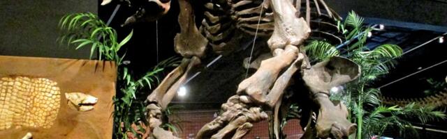 Megafauna was the meat of choice for South American hunters