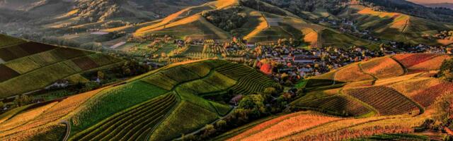 Why sustainable practices can lead to cost savings in the long run