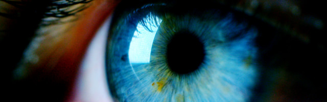 Everything you need to know about IT observability