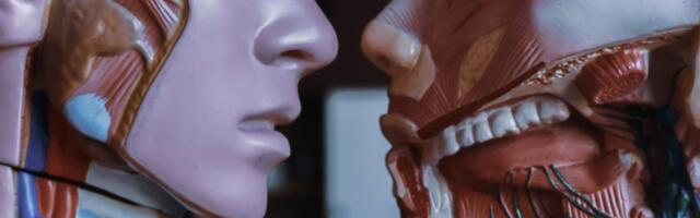 Grounded and Balanced: Why Physiological Intelligence Matters in an AI-Driven Workplace