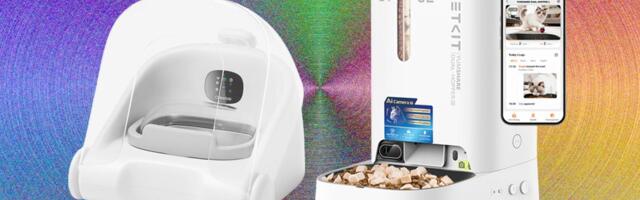 These 11 Automatic Cat Feeders Were the Best We Tested in 2026