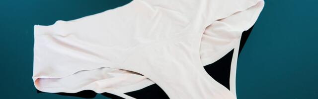 Best Period Underwear for 2025