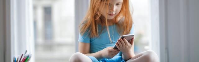 "Protecting children online is a parental responsibility, not a regulatory one" — the VPN industry reacts to Government VPN spending amid discussions on restricting child VPN use