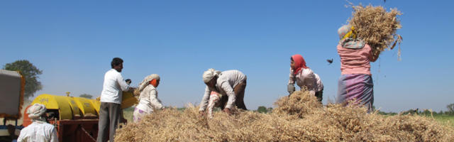 BC entrepreneur wins $1.6 million prize from Prince William-founded competition