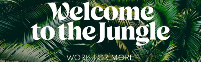 In the midst of a bear market, hrtech startup Welcome to the Jungle claws in €50 million